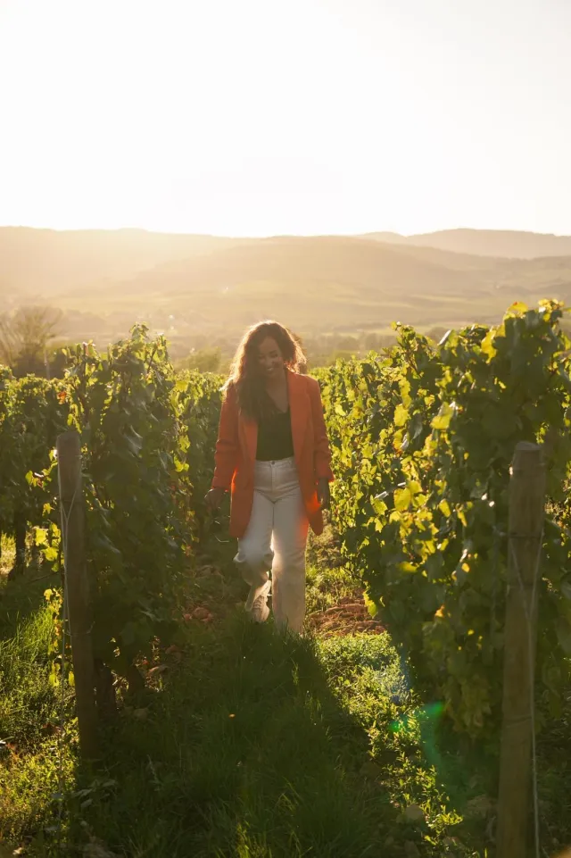 Bonnes adresses Mâcon — vignobles du Mâconnais